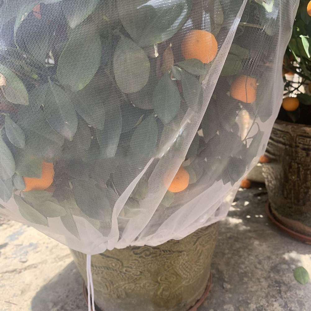 Bug Net Barrier Bag Anti-Bird Plant Netting Mesh Transparent for Fruit ...