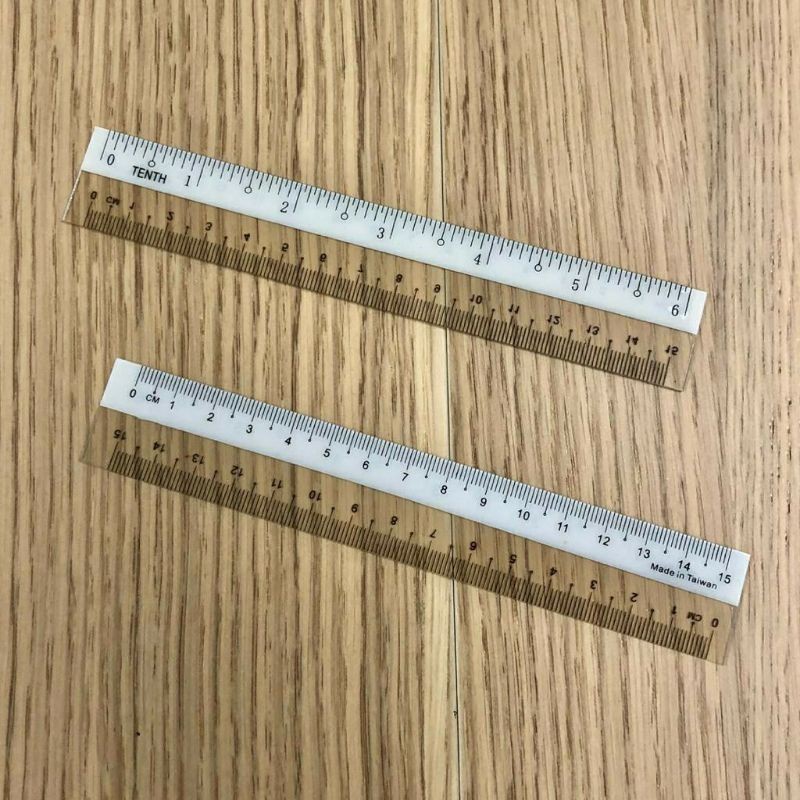 S1016 Ruler PLASTIC DIVIDER 15CM/ 30CM | Shopee Philippines
