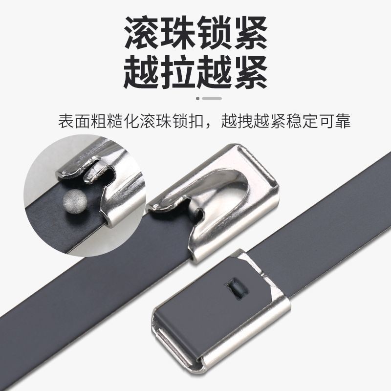 304Stainless Steel Ribbon Plastic Spraying Black Metal Self-Locking ...