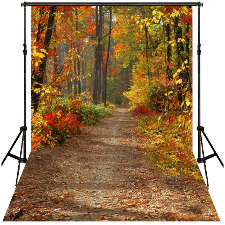 Autumn forest photography background cloth indoor landscape decoration ...