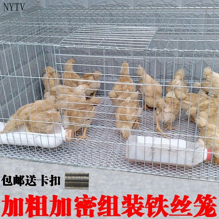 [cod] Cage Brooding Bamboo Chicken Chick Large Breeding Home Encryption 