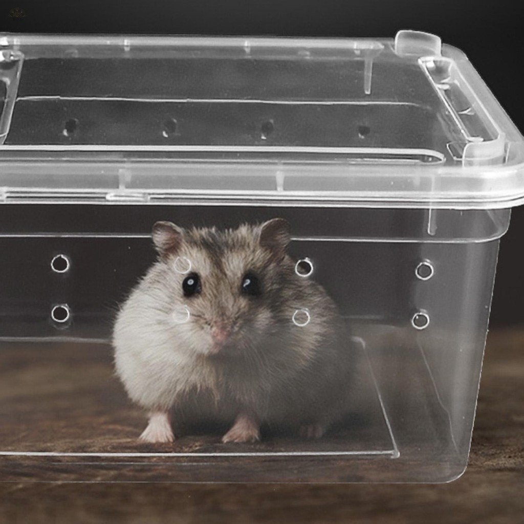 Reptile Small Snake Feeding Box Lizard Tarantula Habitat Cage Hatching ...