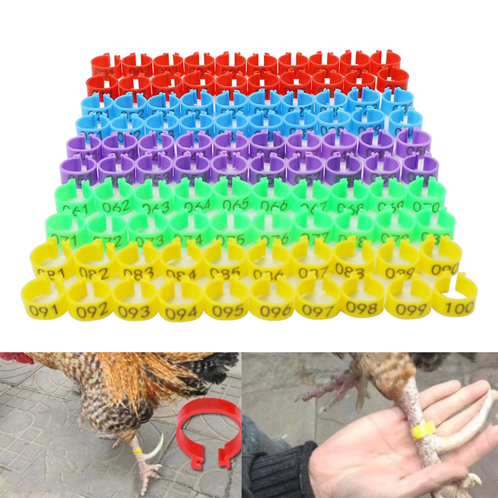 100Pcs Chicken Foot Rings Inner Diameter 16mm 6 Colors Leg Band Ring ...