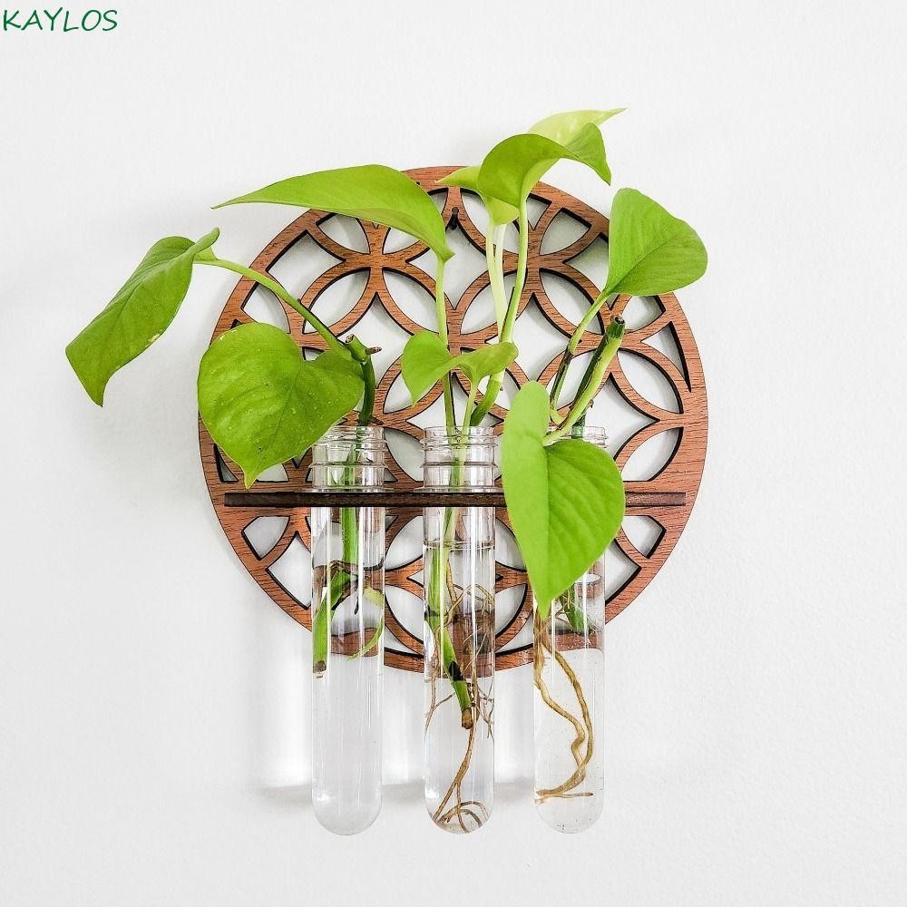 KAYLOS Wall Hanging Vase, Wooden Test Tube Hydroponic Vase, Handmade ...