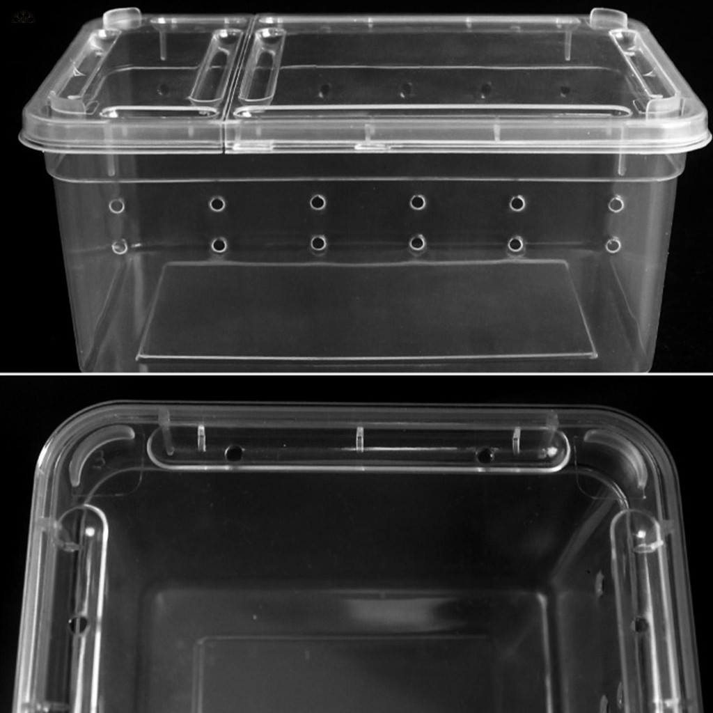 Reptile Small Snake Feeding Box Lizard Tarantula Habitat Cage Hatching ...