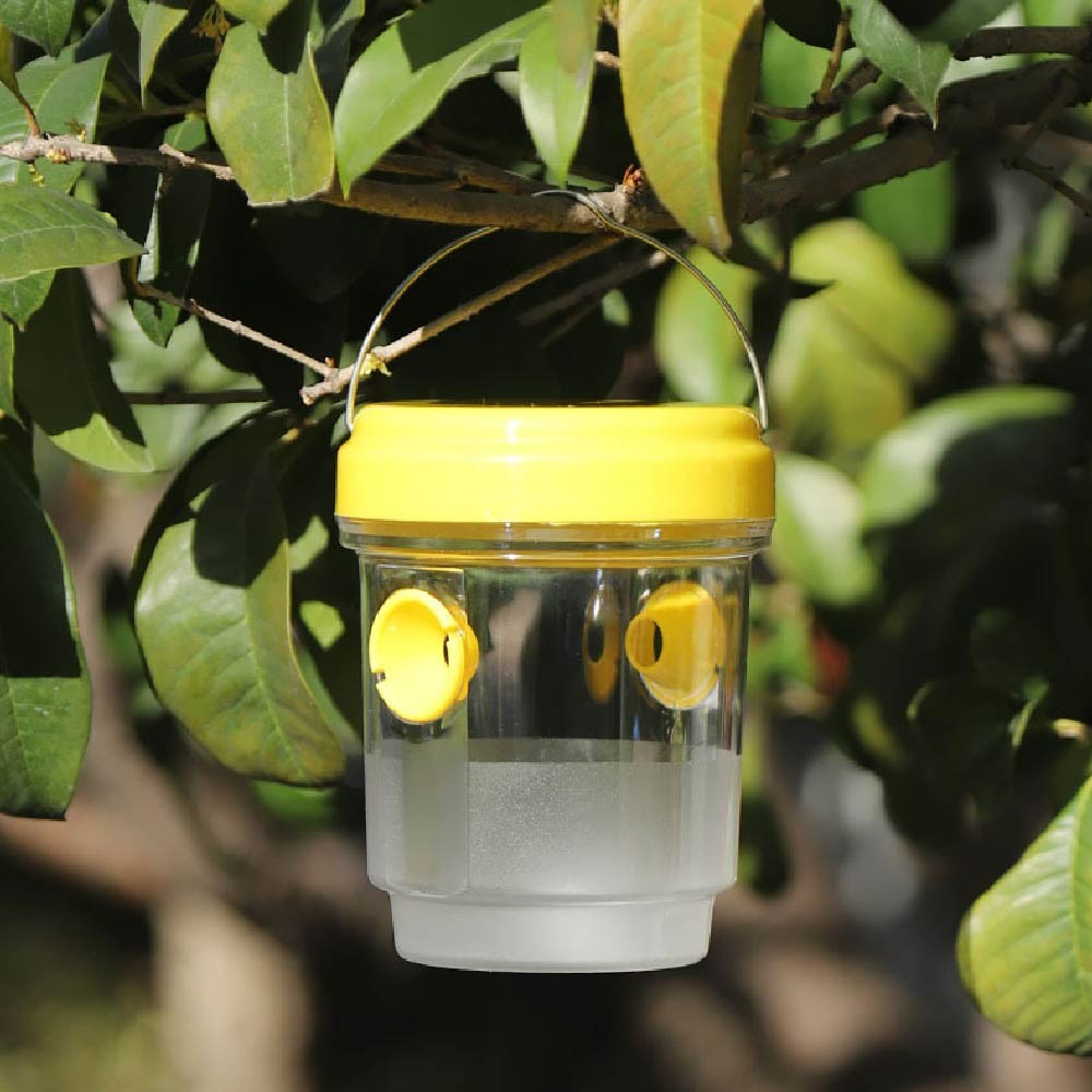 Sustainable and reusable insect traps, suitable for monitoring pests in ...