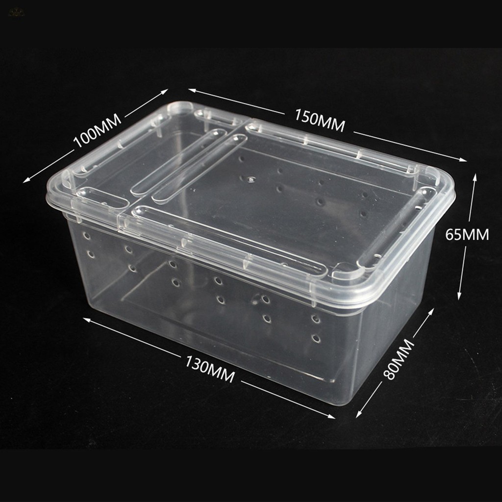 Reptile Small Snake Feeding Box Lizard Tarantula Habitat Cage Hatching ...