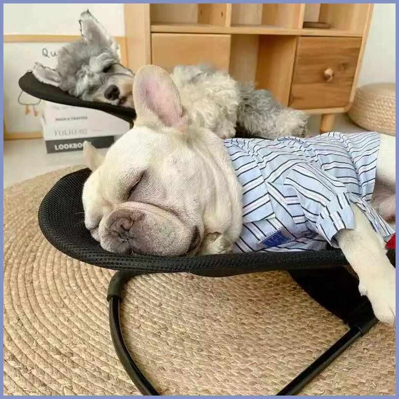 Dog|x`O;Cat&Rocking%JX:Chair%UV:Pet%xL:Shaker%Du:Spring%jw:Recliner ...
