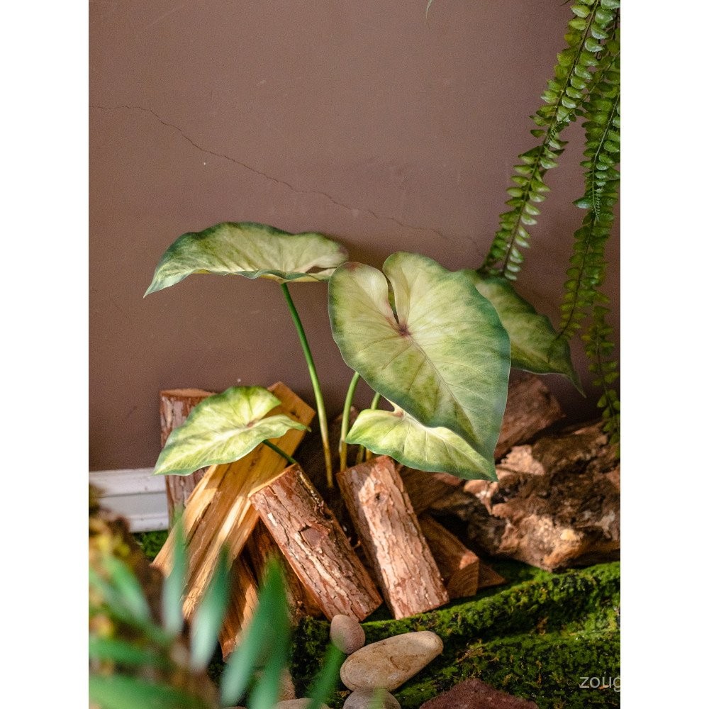 Artificial Fern with Roots, Realistic Touch, Wild Taro Leaves, Green ...