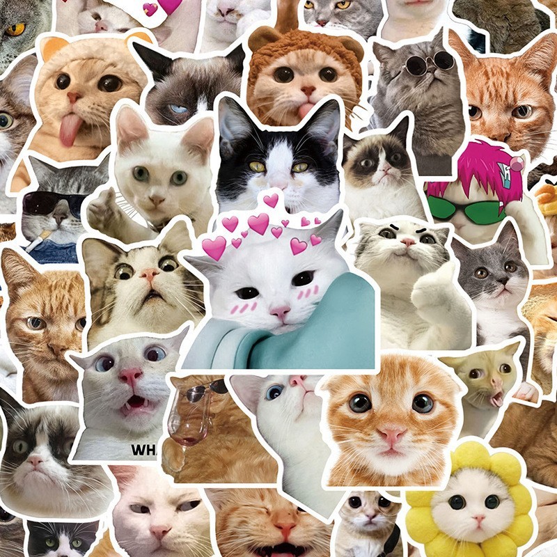50pcs Cute Funny MEME Cat Stickers Kawaii Cartoon Animals Decals Laptop ...