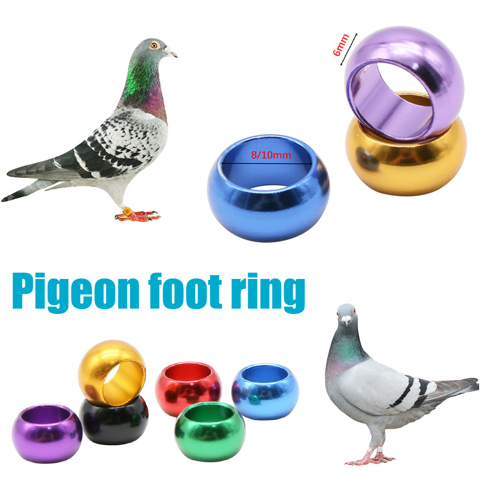 12Pcs Aluminum Bird Foot Ring 8mm/10mm Identification Flight Training ...