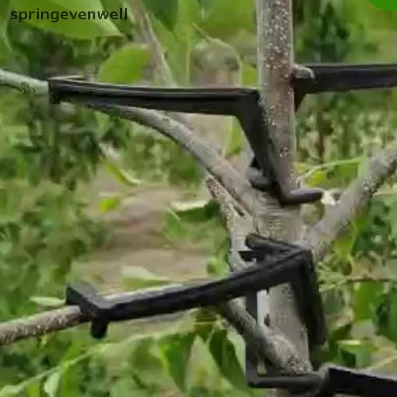 SEW 10Pcs Fruit Tree Branches Holder Fruit Branch Spreader Tree Branch ...