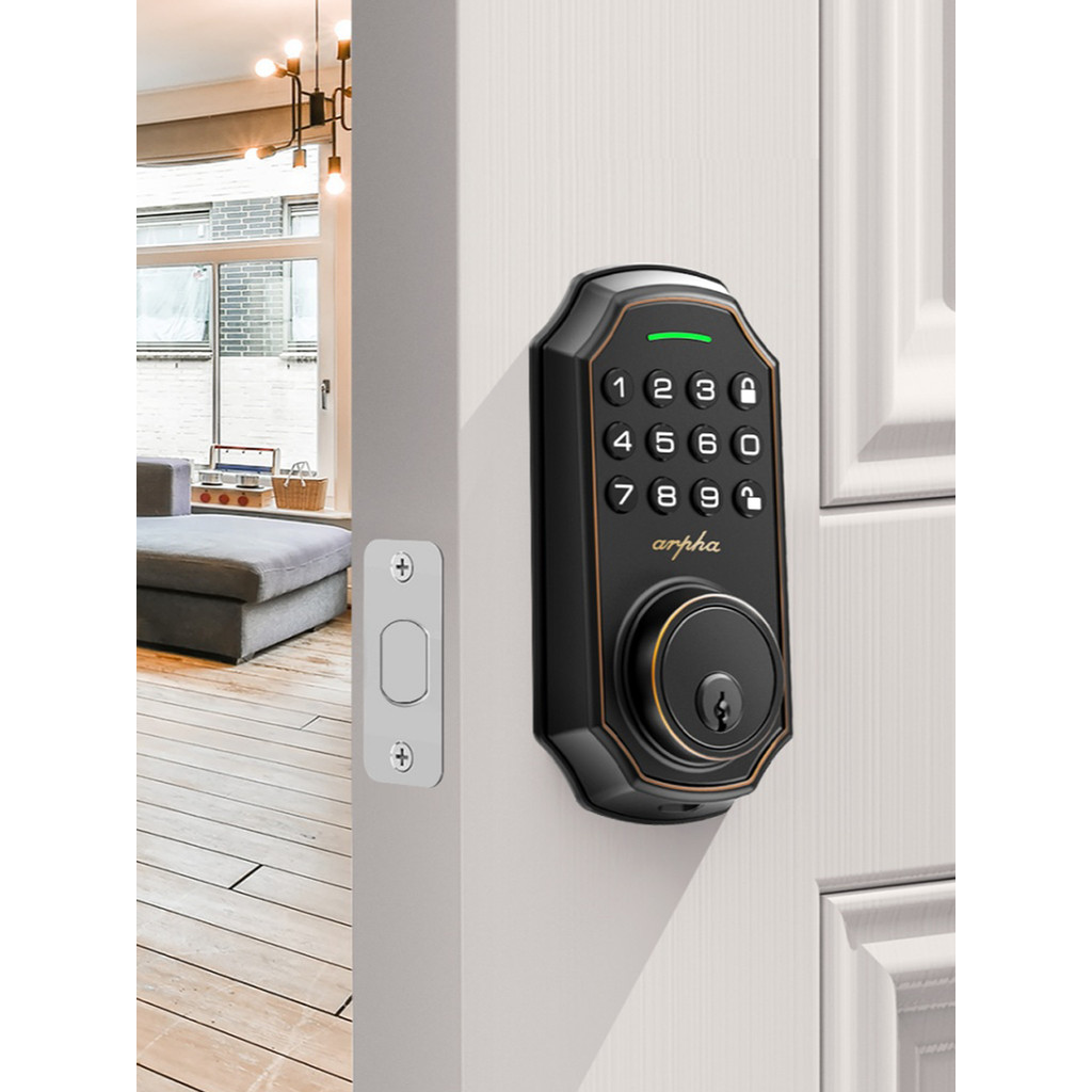 ARPHA Keyless Entry Door Lock D180, Door Locks for Front Door with 100 ...