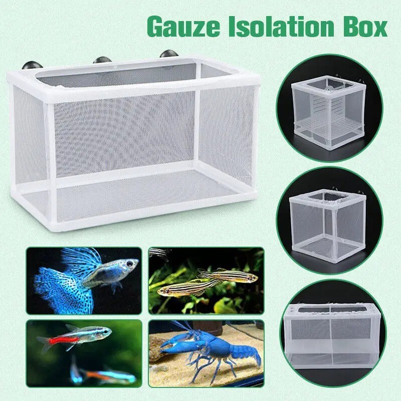 Breeding Box Incubator Fish Tank Isolation Box Adsorption Separation ...