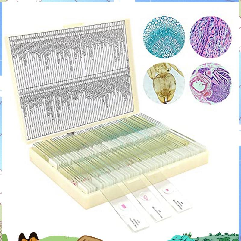 Microscope Slides Child Microscope Slides with Specimens From Children ...