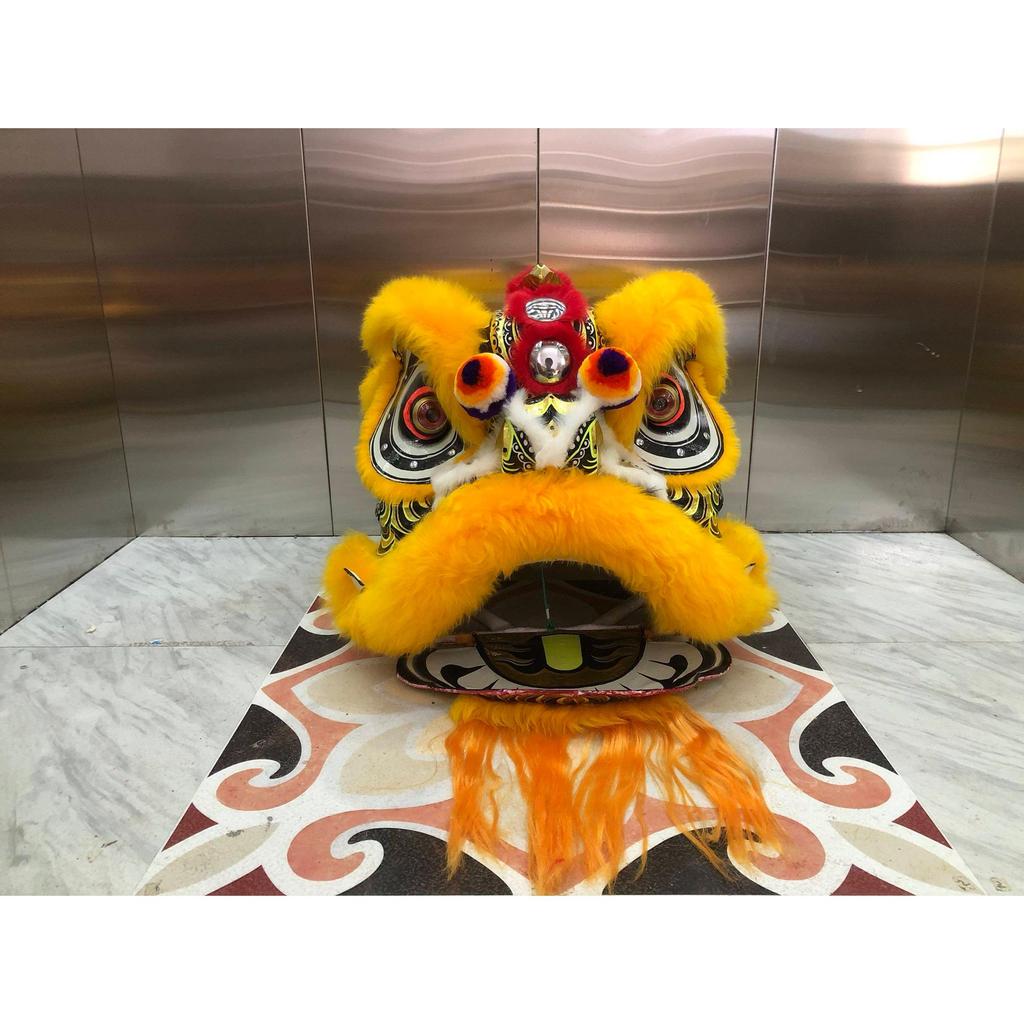 South Lion Line Old Master Lion Dance Three Mirrors Lion Dance | Shopee ...