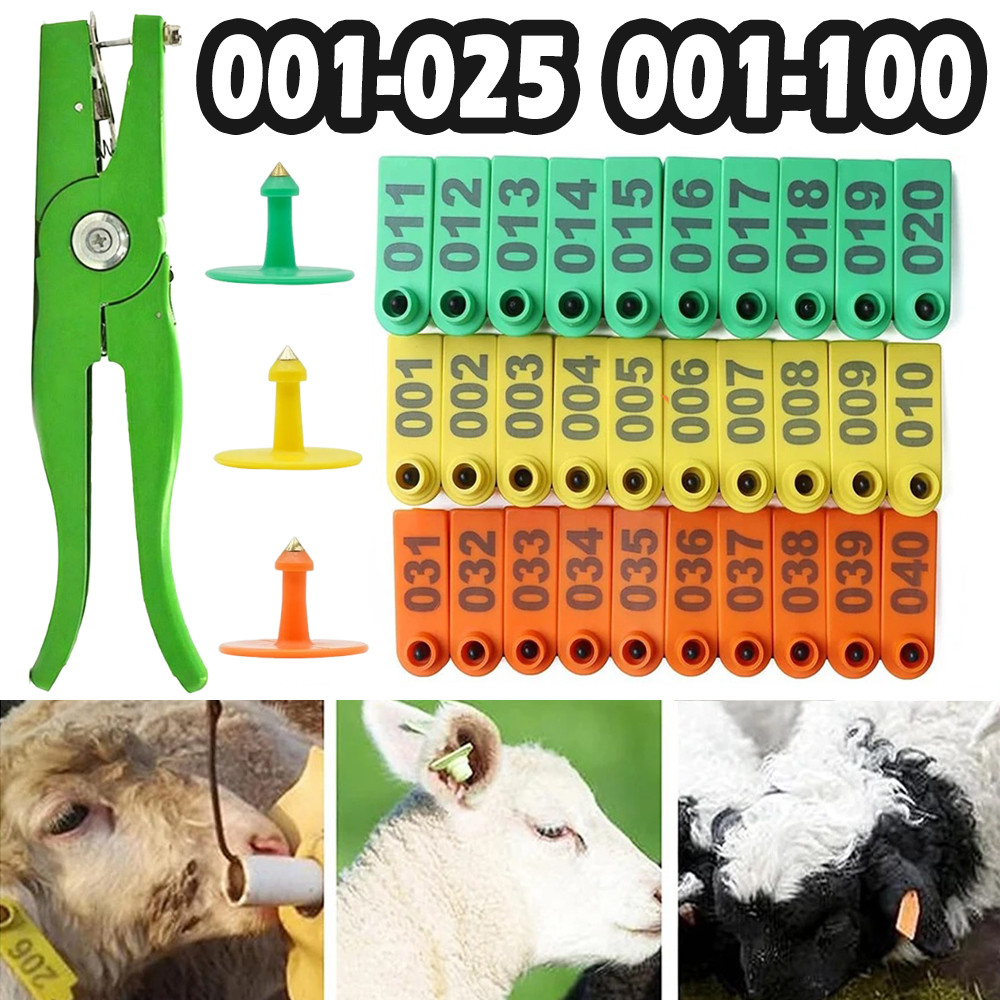 Shop ear tags for Sale on Shopee Philippines