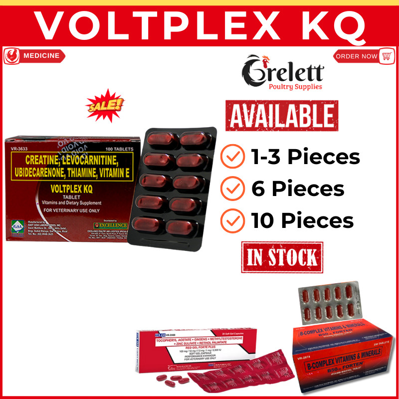 VOLTPLEX KQ【1 ~ 10 pcs】Conditioning Supplement | Power, Stamina ...