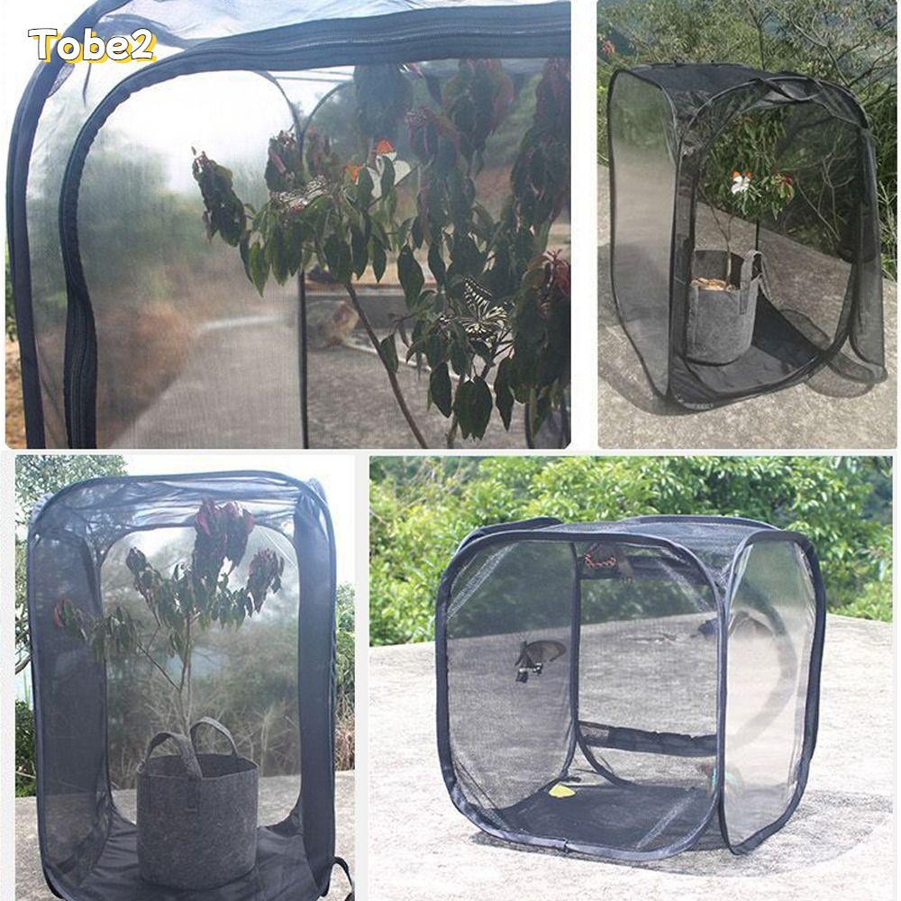 TOBE2 Insect Cage, Outdoor Collapsible Butterfly Habitat, High Quality ...