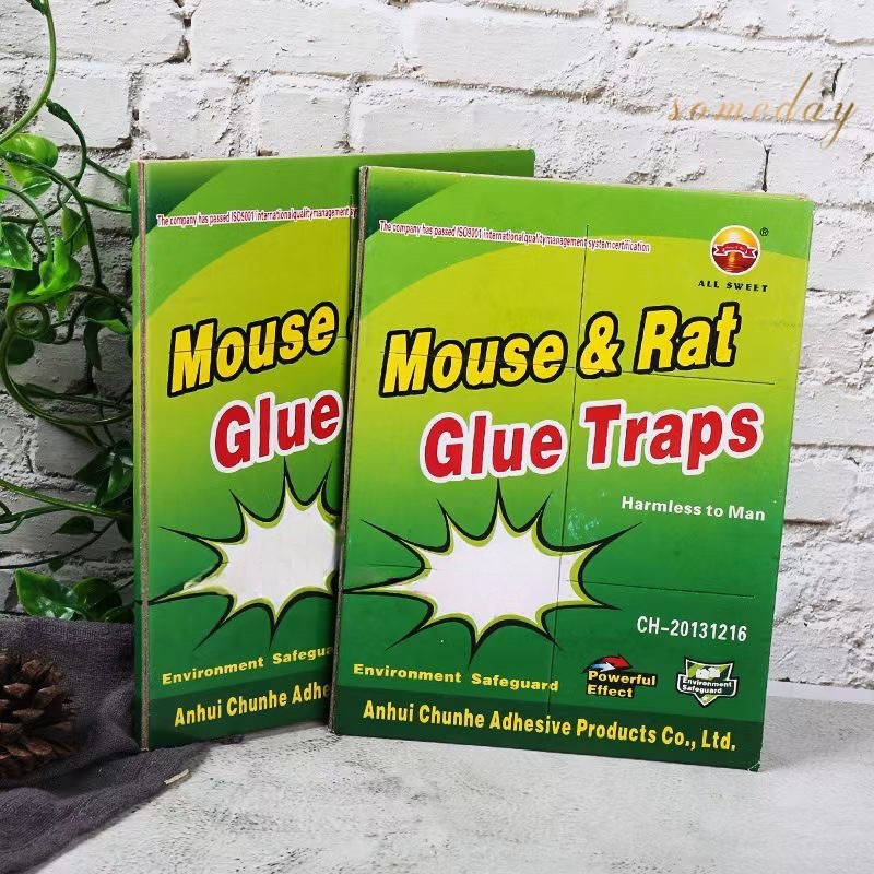 Someday's Multi Pack Green Card Power Rubber Adhesive Glue Trap ...