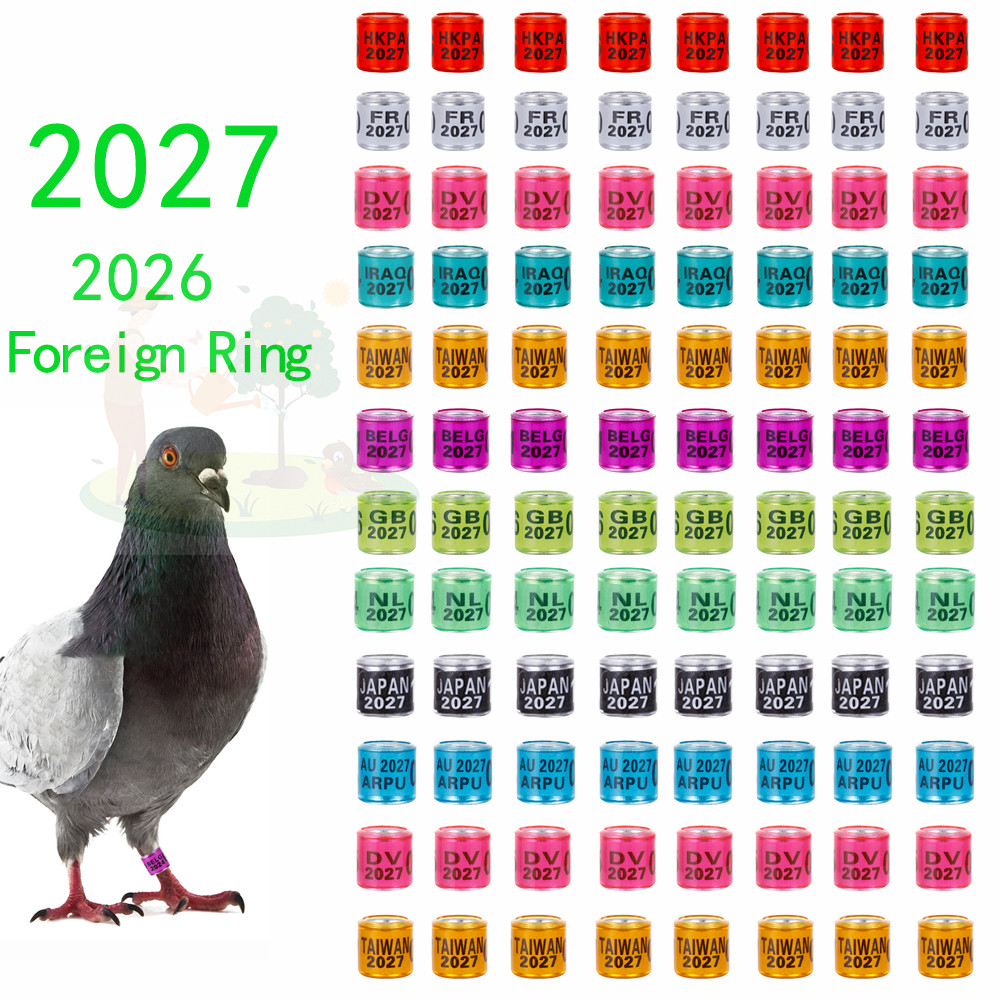 50 Pcs 2027/2026 Pigeons Foot Ring Multicolor 8mm With Word Training ...