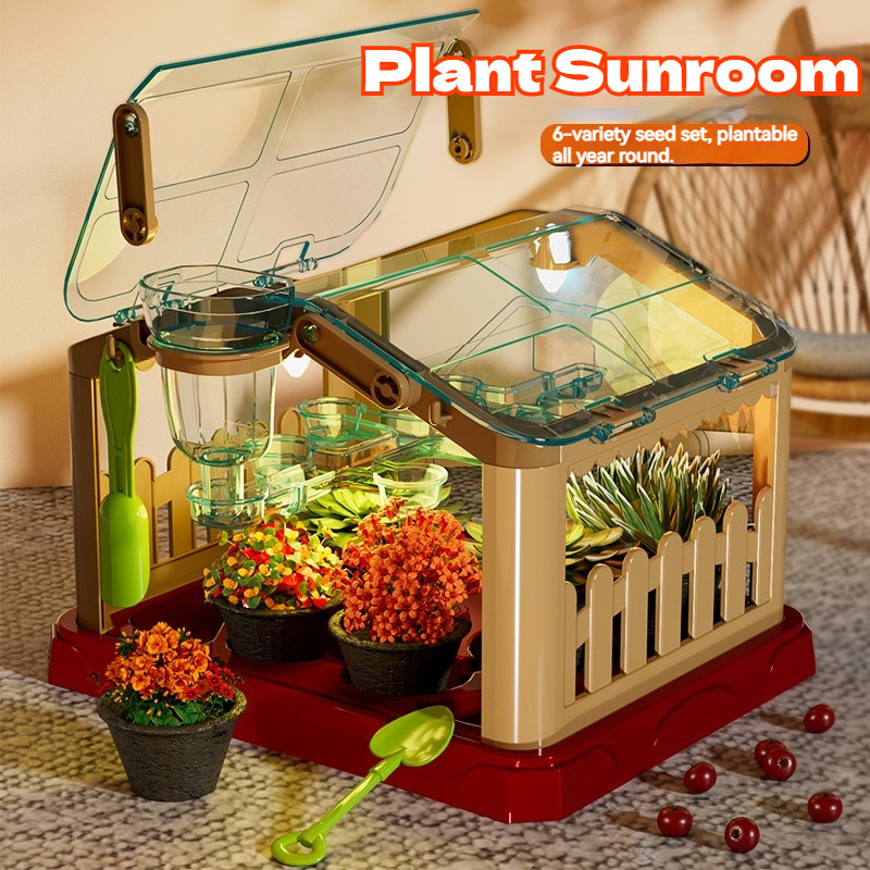 Children's Sunlight Greenhouse Planting Kit, Plant Growth Observation ...