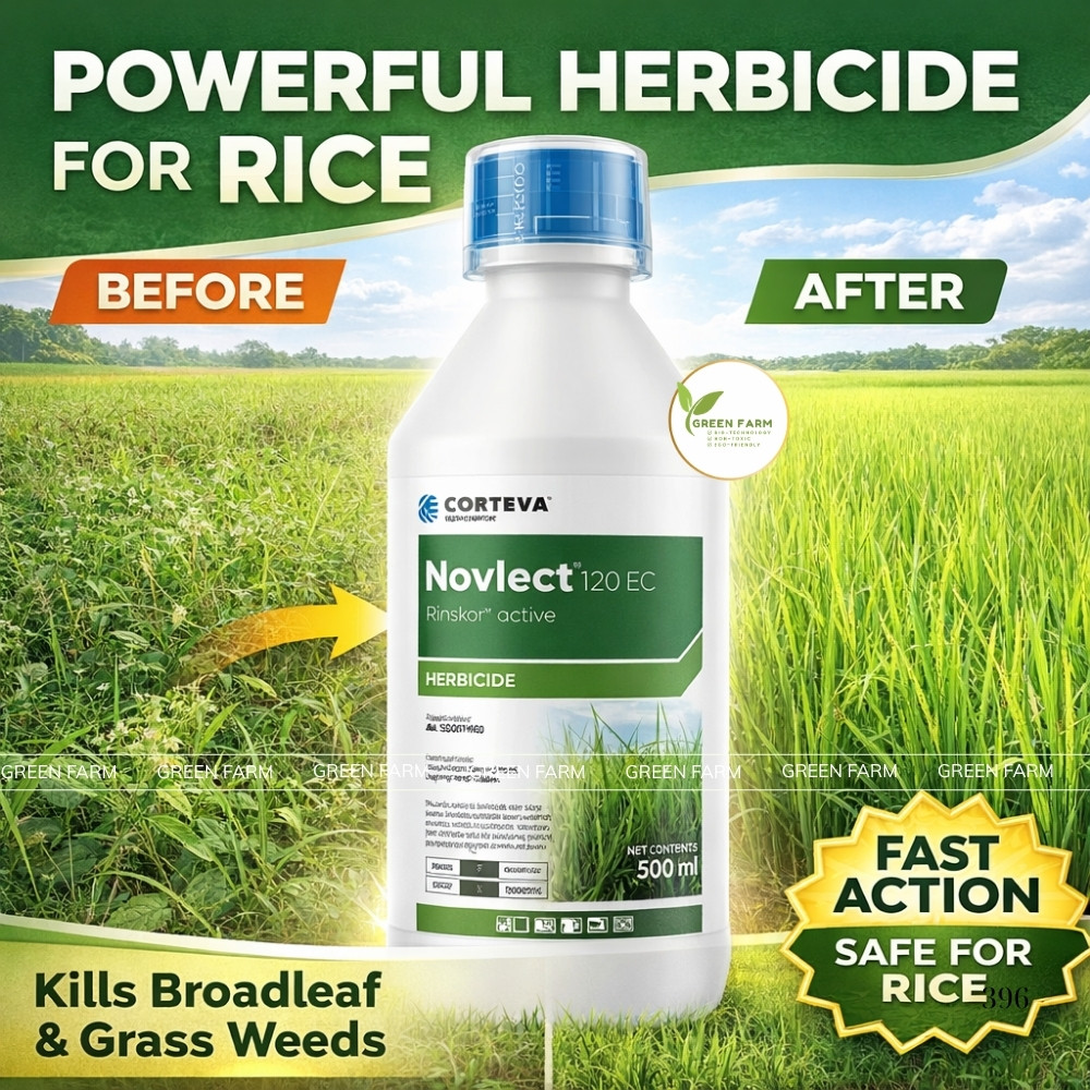[BEST PRICE] Novlect Herbicide Grass Killer 500ML – Fast Acting Weed ...
