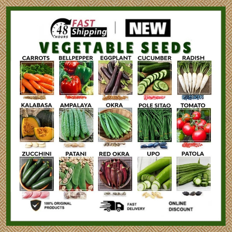 Vegetables Gardening Seeds Different kinds of Seeds Talong Delivery ...