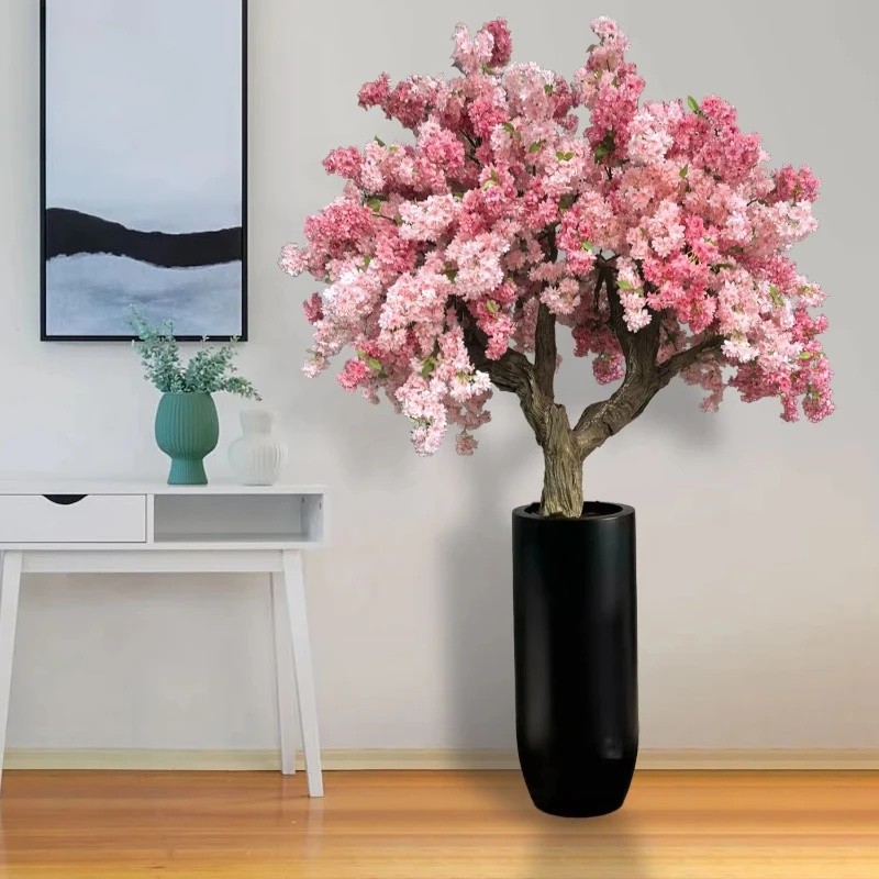 chinese house plants Chinese Evergreen | Indoor Plants main image 0