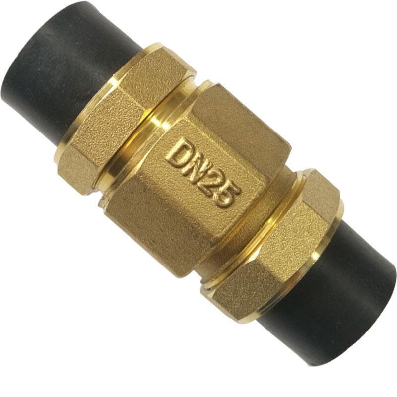 Bronze PPR Check Valve Horizontal Vertical Single Direction Valve Water ...