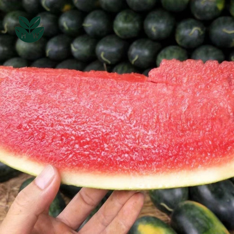 (20 Seeds)Watermelon Seeds for Planting Super Sweet Juicy Giant Water ...