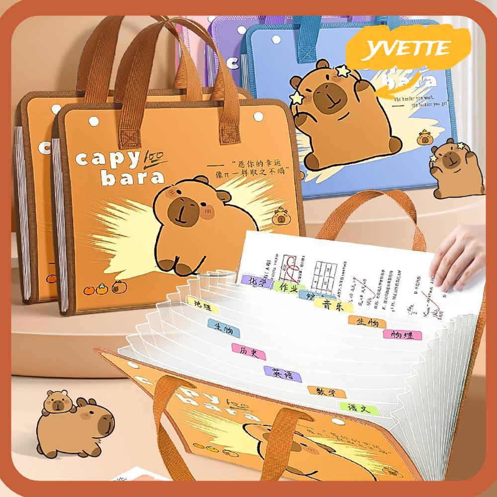 YVE A4 File Folder, 13 Pockets Waterproof Test Paper Storage Folder ...