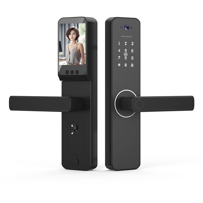 Graffiti Cat Eye Entry Door Wooden Door Fingerprint Lock Home Security ...