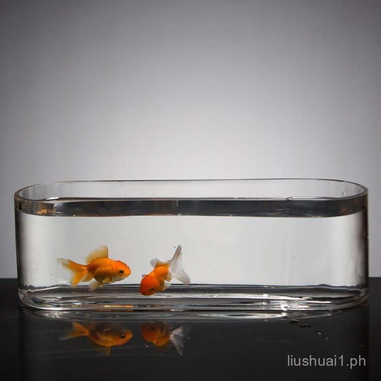Curated visual reference: Gallery Detail: Glass Fish Tank Small Living Room Creative Desktop Ecological Internet