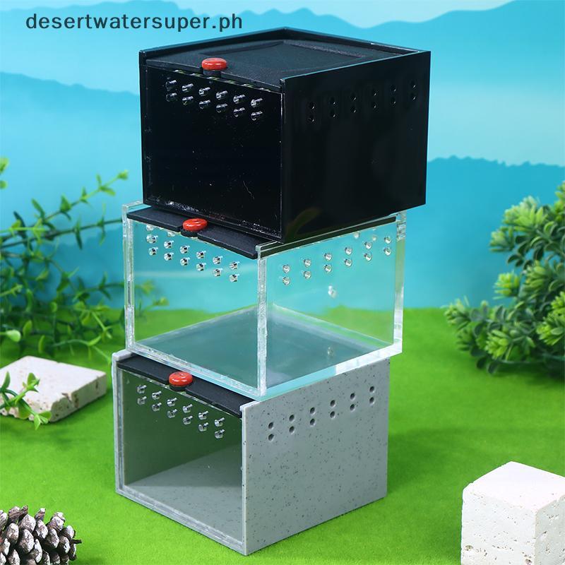 DSPH Pet Spider Box Reptile Crawling Pet Feeding Lizard Silkworm Baby ...