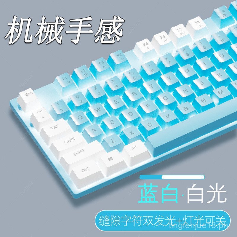 Blue and White Dual Color Mechanical Feel Keyboard Mouse Set Wired ...