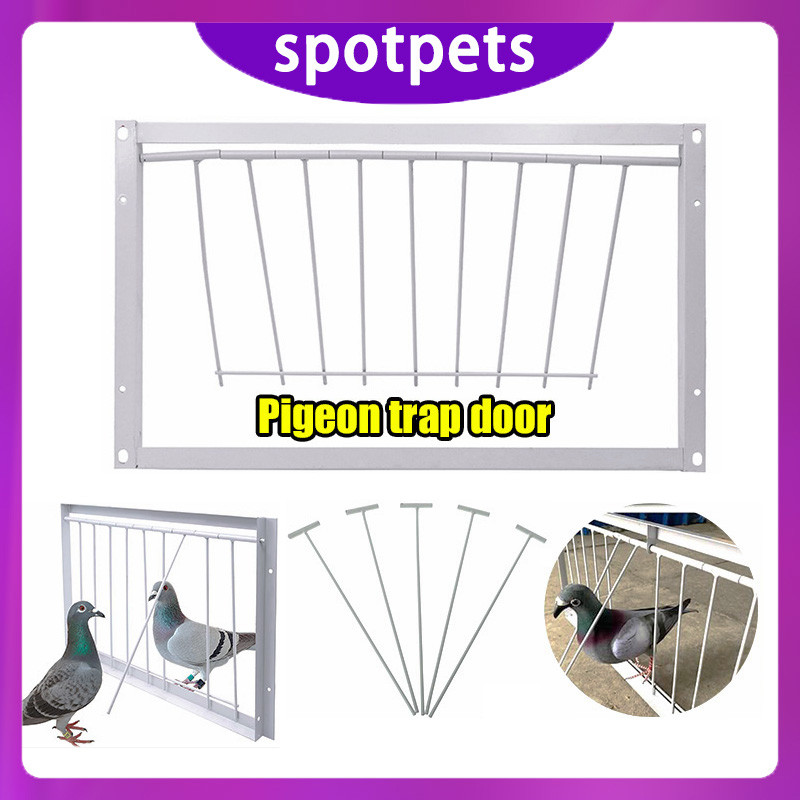 Bird Pigeon Trap Door Stainless Steel Frame Trapping Cage 30/40/50/60cm ...