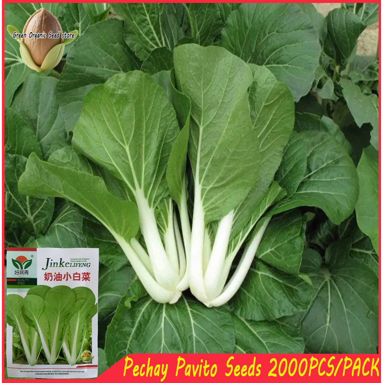 Shop pechay seeds for Sale on Shopee Philippines