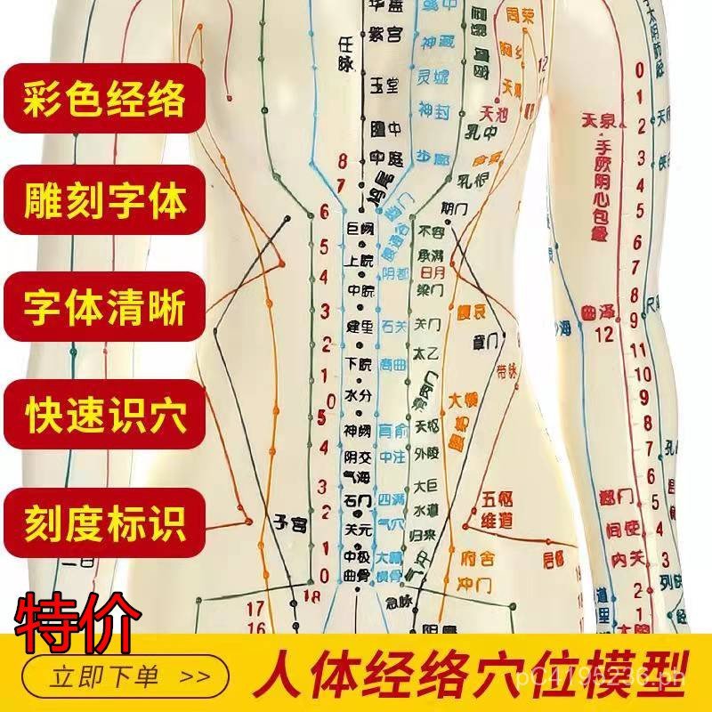High-Definition Traditional Chinese Medicine Small Figure Acupoint ...