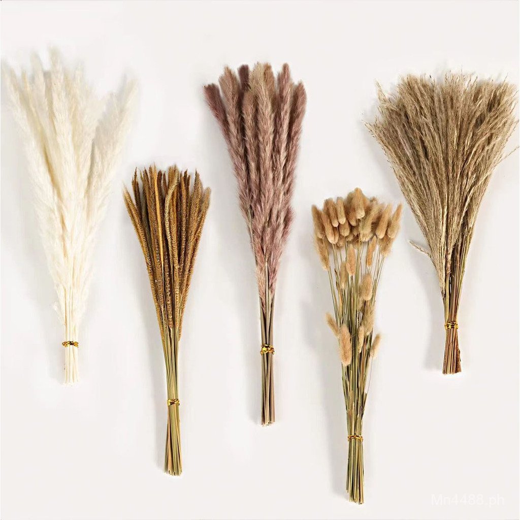 Nordic Style DIY Flower Arrangement Set Decorative Dried Flower Bouquet ...