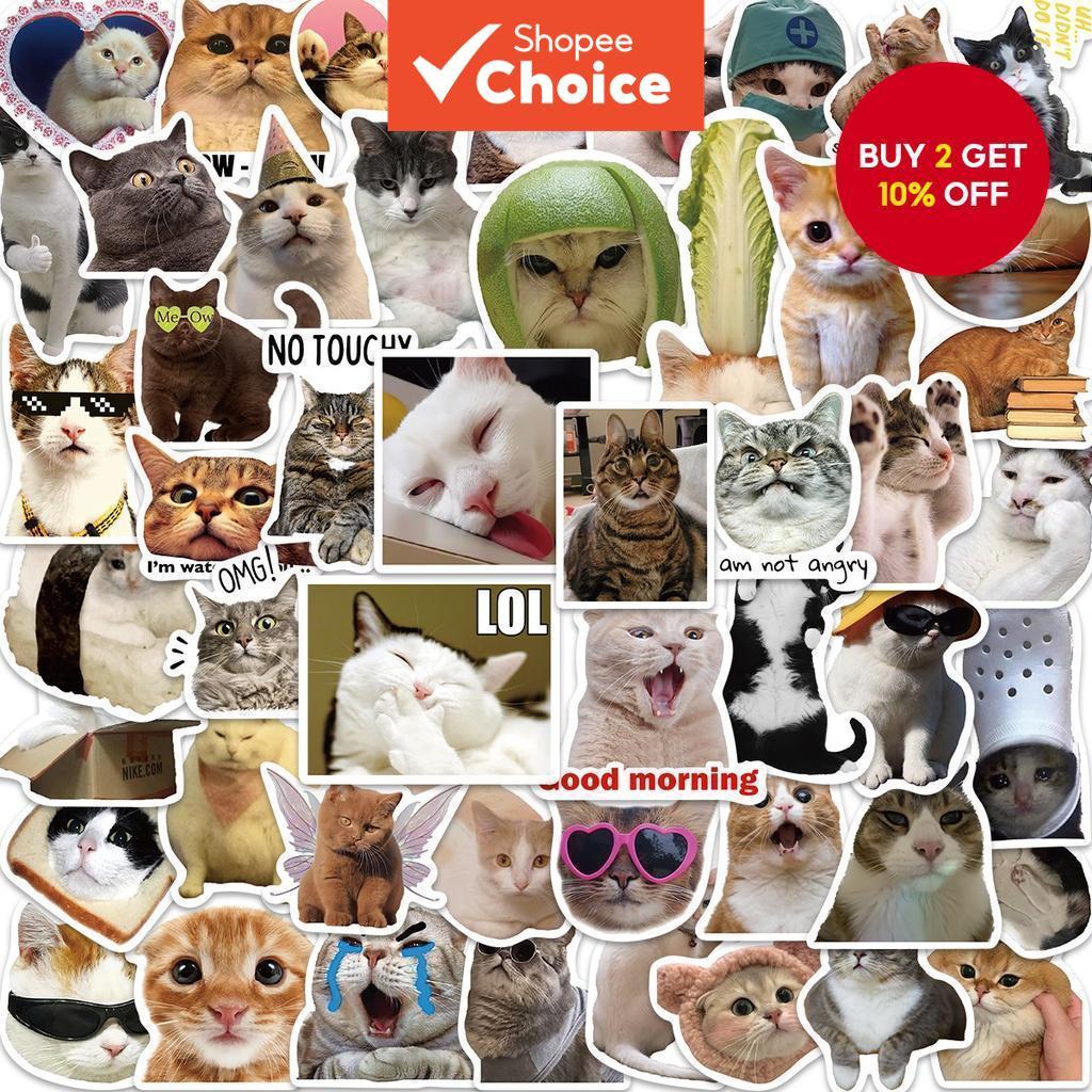 50/100PCS Funny Cat Meme Emoji Stickers – Waterproof Cartoon Decals for ...