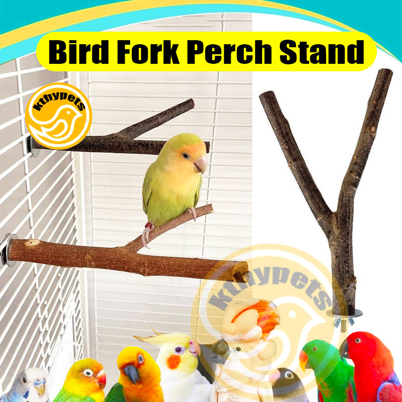 Bird Perch for lovebird Bird perch wood stand Natural wood bird perch ...