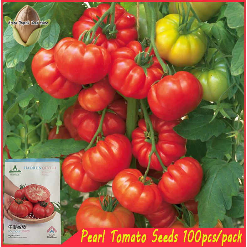 Shop kamatis for Sale on Shopee Philippines