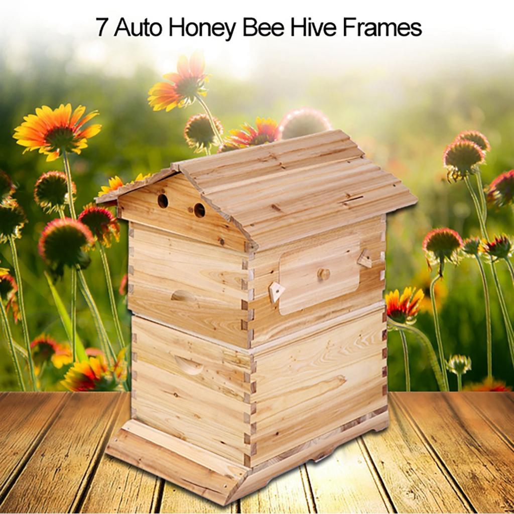 torachel1-PH Super Beekeeping Brood House Box For 7 Auto Honey Bee Hive ...