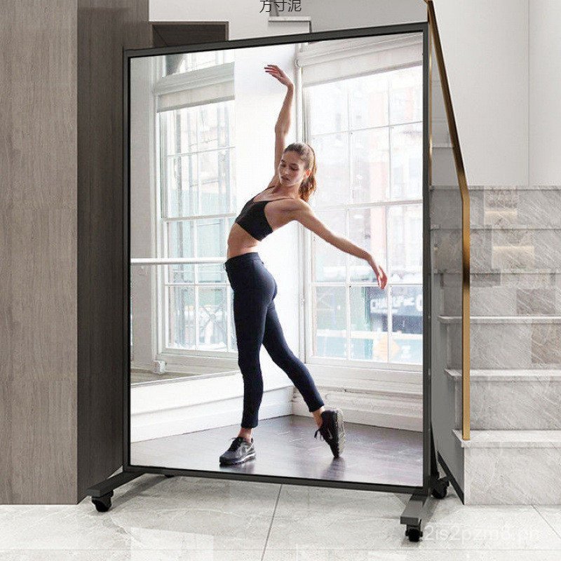 Portable Dance Mirror Live Streaming with Wheels for Home Use, Floor — free download