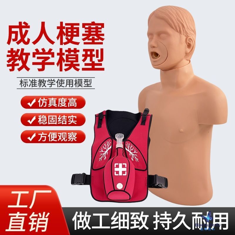 Adult Children Baby Stem Plug Model Heimrick First Aid Training Human ...