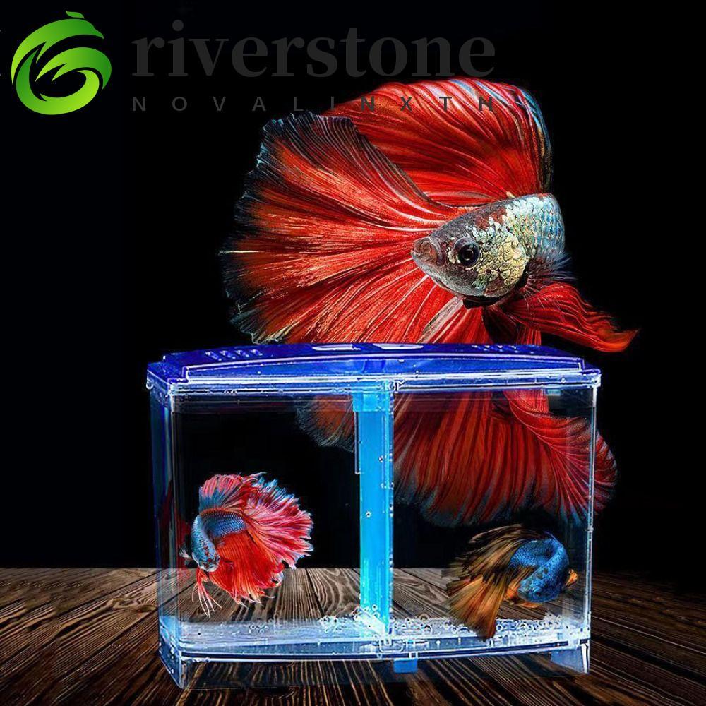 RIVERSTONE Betta Fish Tank, Transparent with Water Grass Double-grid ...