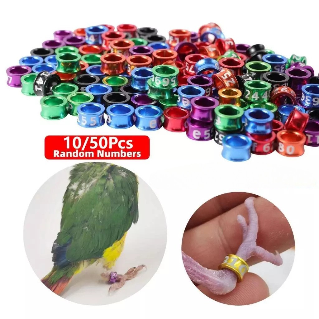 15 lovebird leg rings, 4.7 mm in size, suitable for African birds ...
