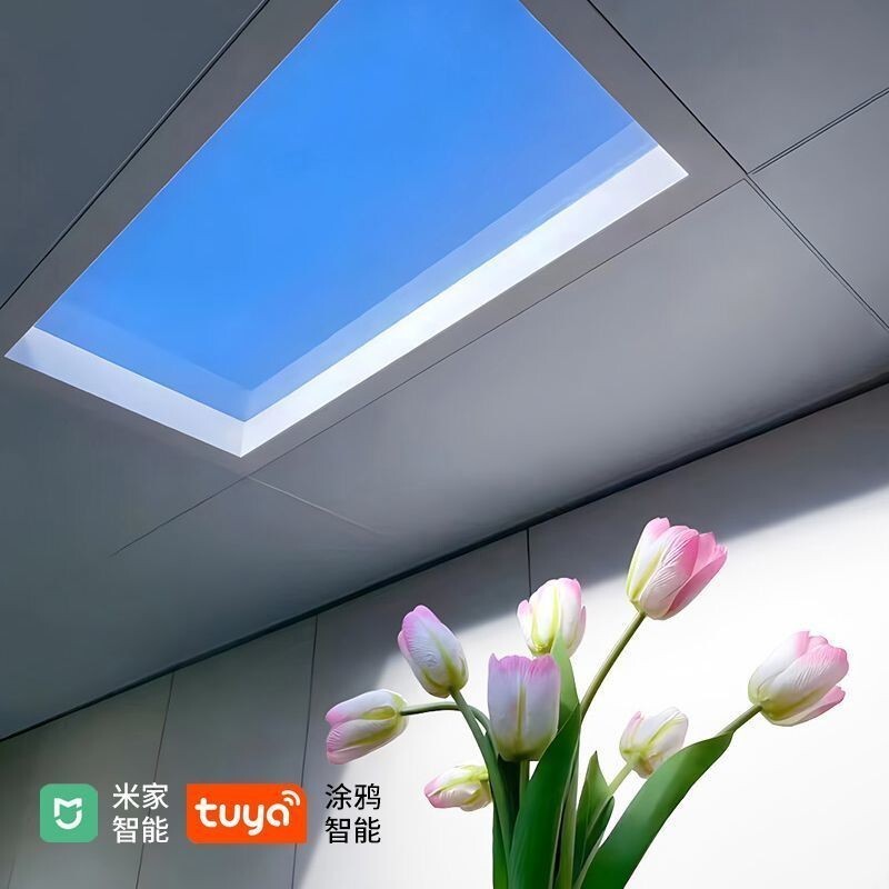Riley Dispersion Sunny Sky Light Sun Mode Natural Light Bedroom Smart ...