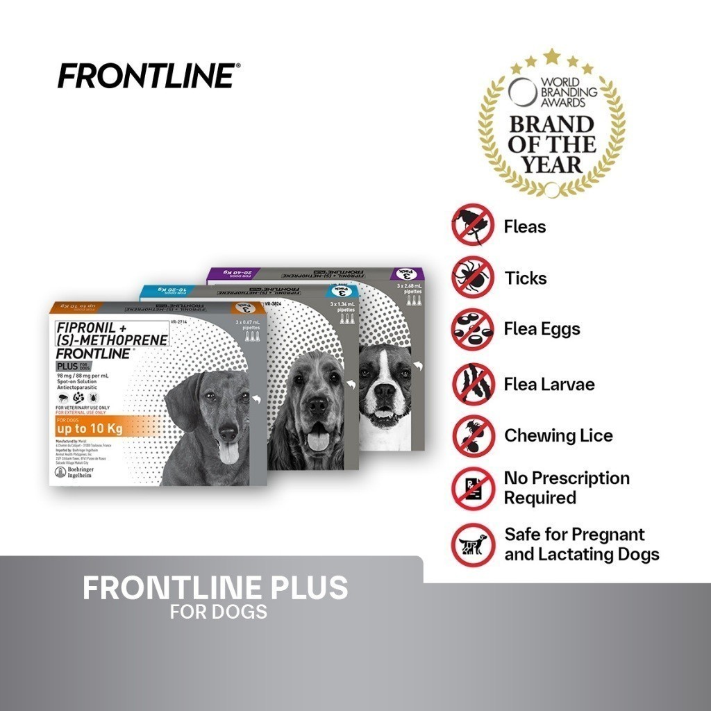 Frontline Plus For Dogs Anti Tick And Flea Spot-On Anti Itch Pulgas ...